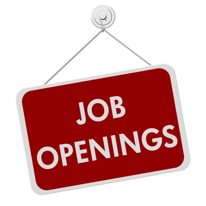 TIER2 Open Job Position as Reproducibility Junior Researcher at VUmc