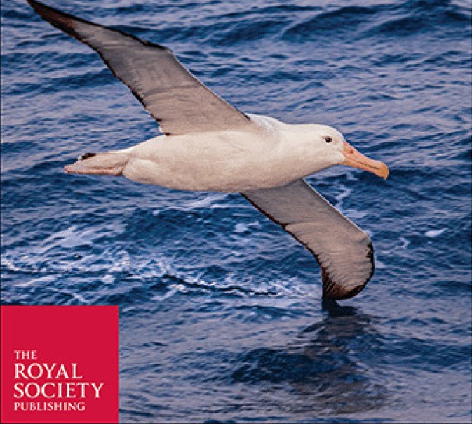 Toward equitable open research: new relevant article on Open Research Recommendations