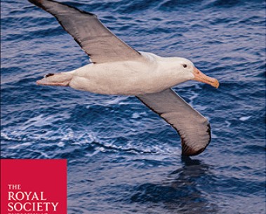 Toward equitable open research: new relevant article on Open Research Recommendations